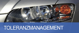 Toleranzmanagement