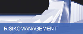 Risikomanagement